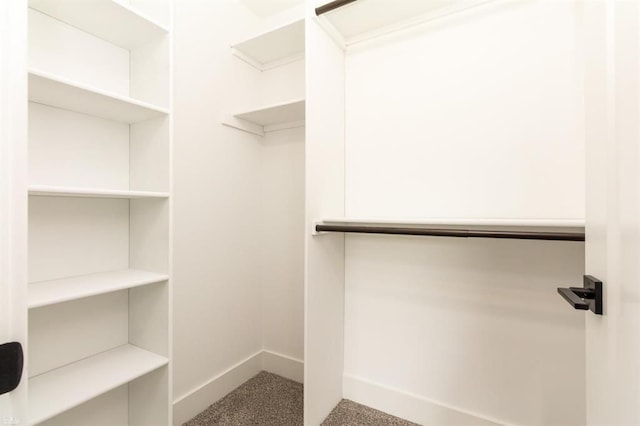 spacious closet with carpet floors