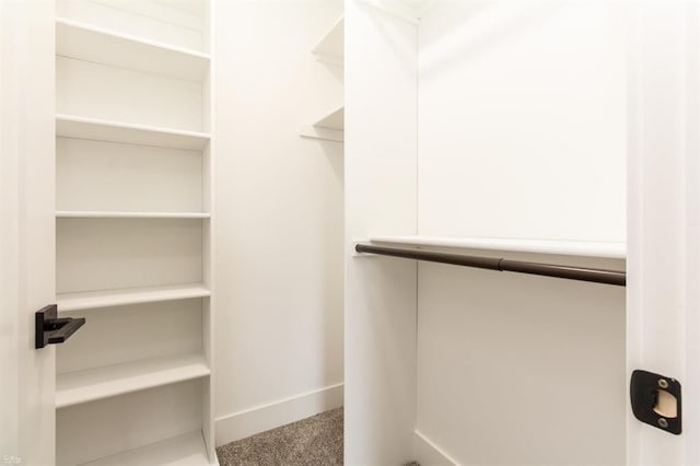 walk in closet featuring carpet flooring