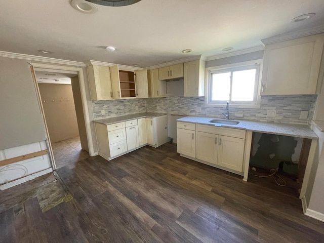 kitchen featuring dark hardwood / wood-style floors, decorative backsplash, and sink