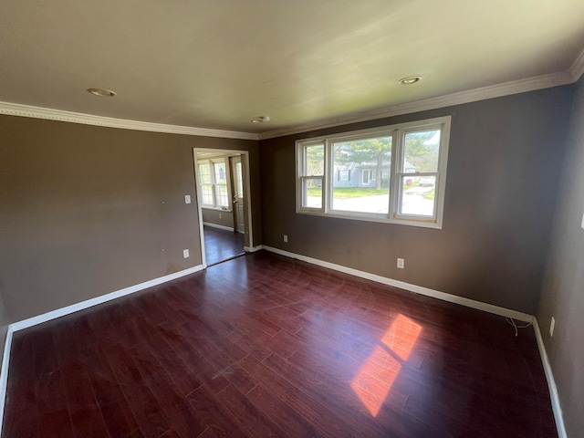 spare room featuring ornamental molding, plenty of natural light, and dark wood-type flooring