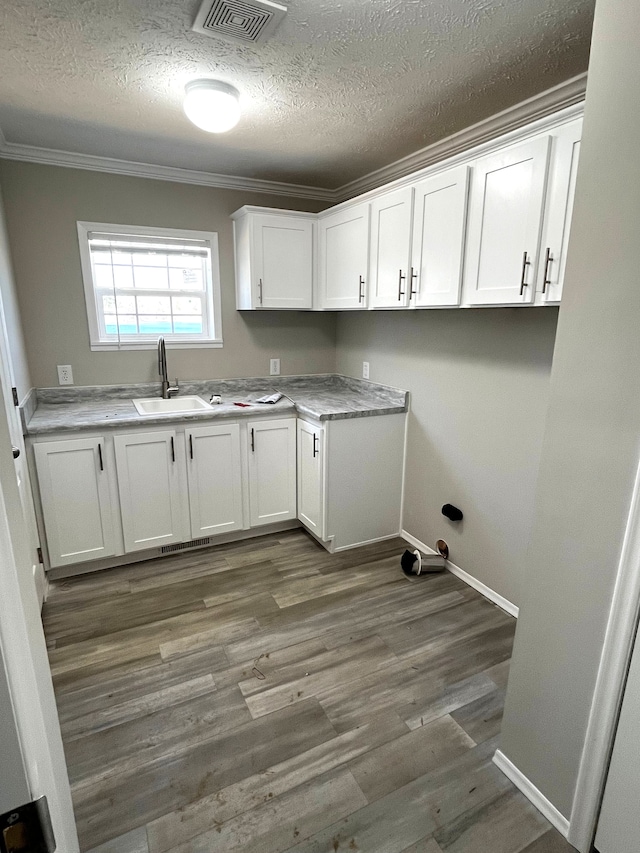 2759 Naples Ct, Lapeer, MI 48446 - laundry area with ornamental molding, a textured ceiling, baseboards, dark wood-style flooring, and a sink