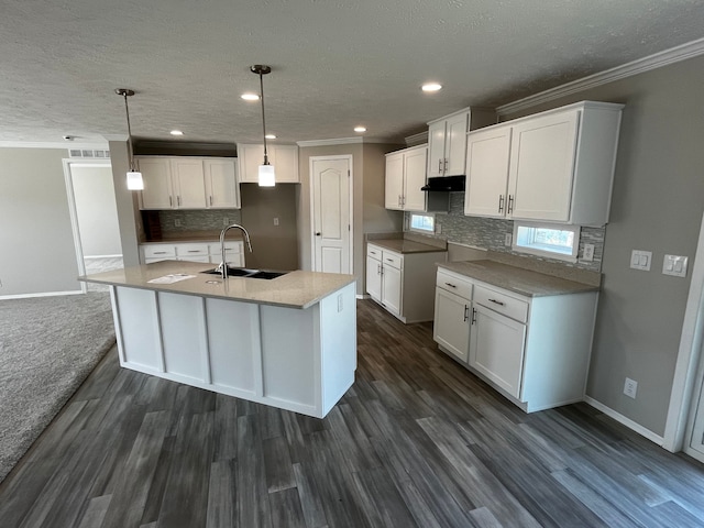 2759 Naples Ct, Lapeer, MI 48446 - kitchen with a sink, crown molding, decorative backsplash, white cabinets, and dark wood-style flooring