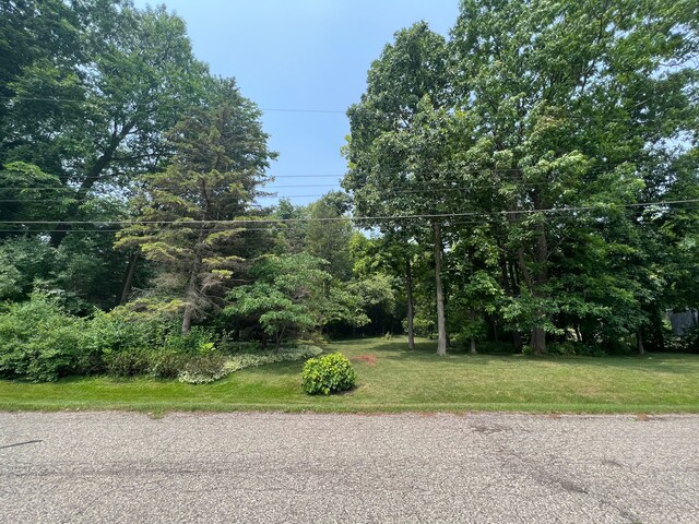 0 Green Tree Dr, Grand Blanc, MI 48439 - photo 2