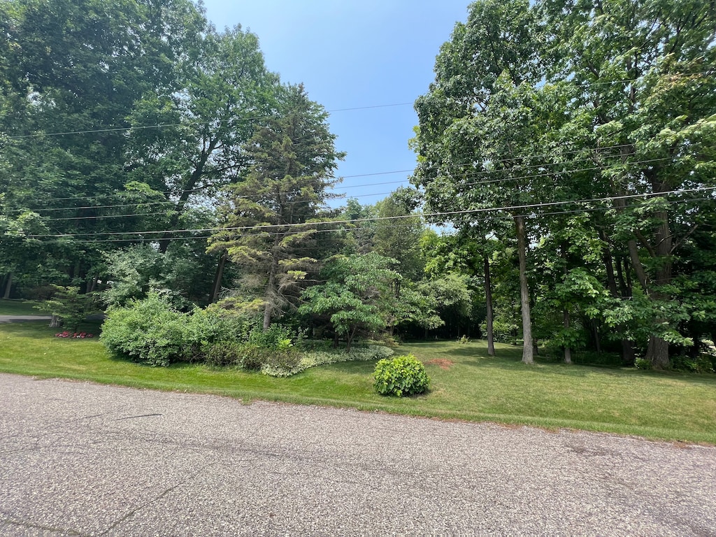 0 Green Tree Dr, Grand Blanc, MI 48439 - photo 1