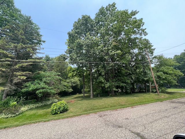 0 Green Tree Dr, Grand Blanc, MI 48439 - photo 3
