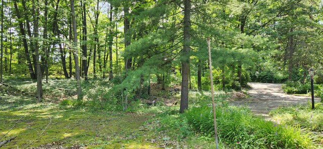 227 Joliet Ave, Houghton Lake, MI 48629 - view of wooded area