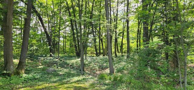 227 Joliet Ave, Houghton Lake, MI 48629 - view of woods