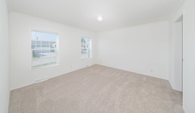 carpeted spare room with ornamental molding