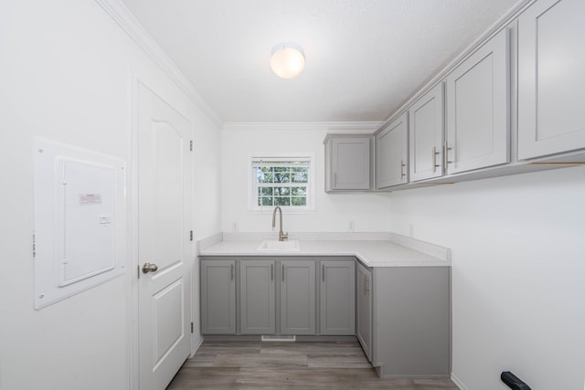 2769 Naples Ct, Lapeer, MI 48446 - washroom featuring light wood-style floors, a sink, electric panel, and ornamental molding