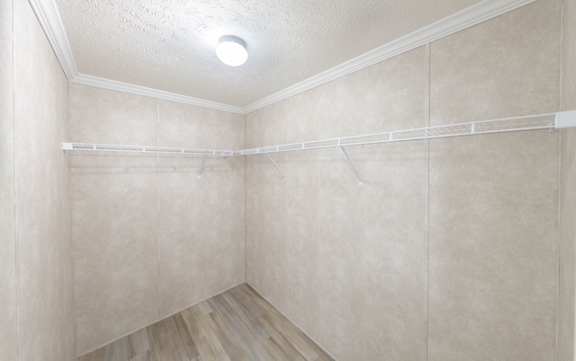 walk in closet featuring wood-type flooring