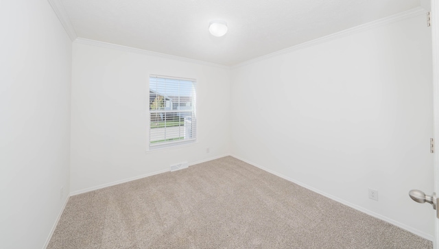 empty room featuring carpet flooring and crown molding