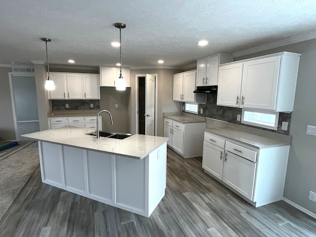 2765 Naples Ct, Lapeer, MI 48446 - kitchen with a sink, under cabinet range hood, crown molding, dark wood finished floors, and backsplash