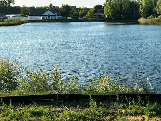 view of water feature