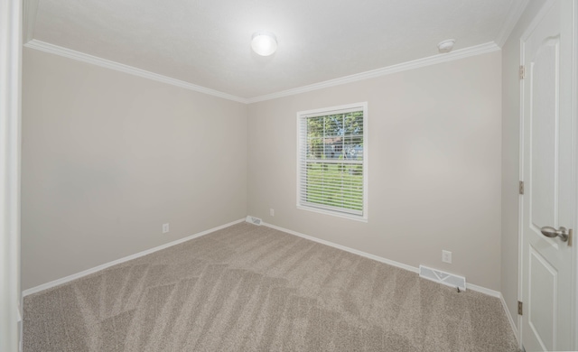 unfurnished room featuring crown molding and carpet floors