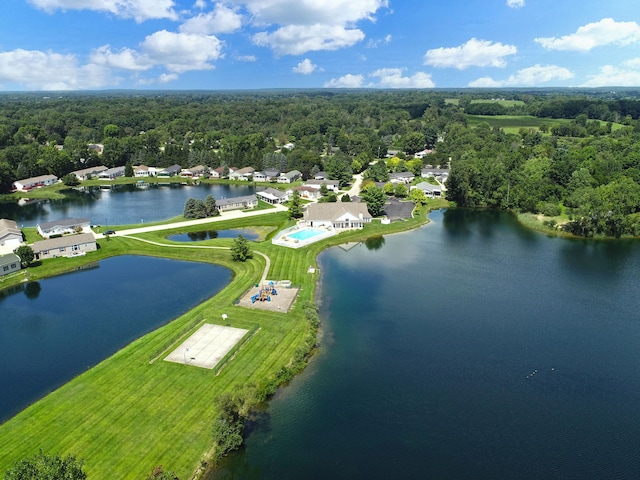 2756 Naples Ct, Lapeer, MI 48446 - aerial view of a forest and a nearby body of water