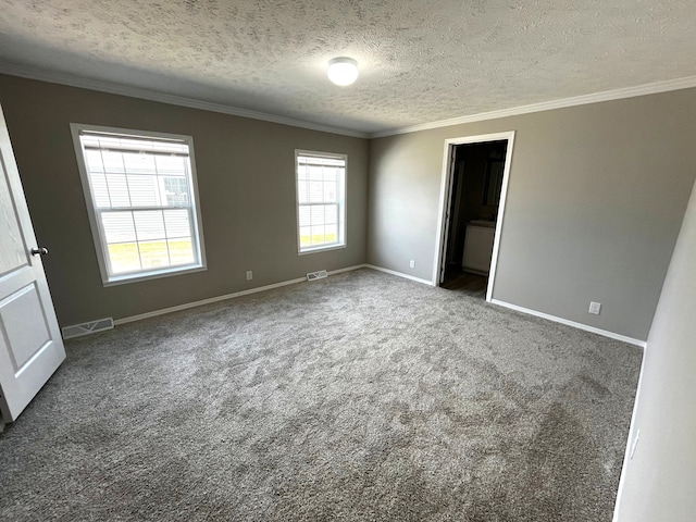 spare room with crown molding, carpet, and a textured ceiling