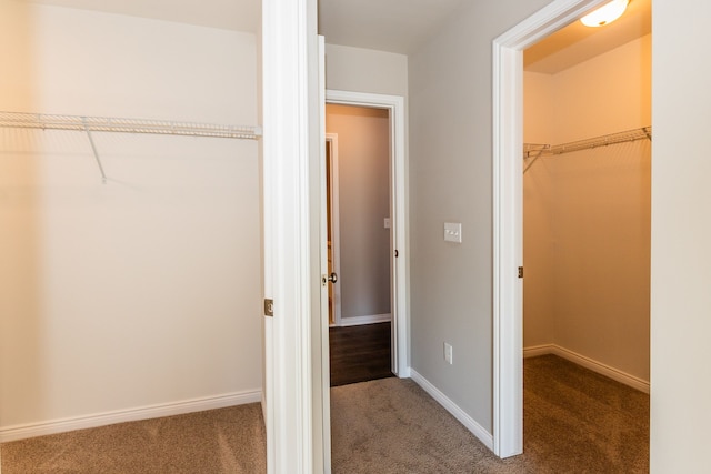 view of closet