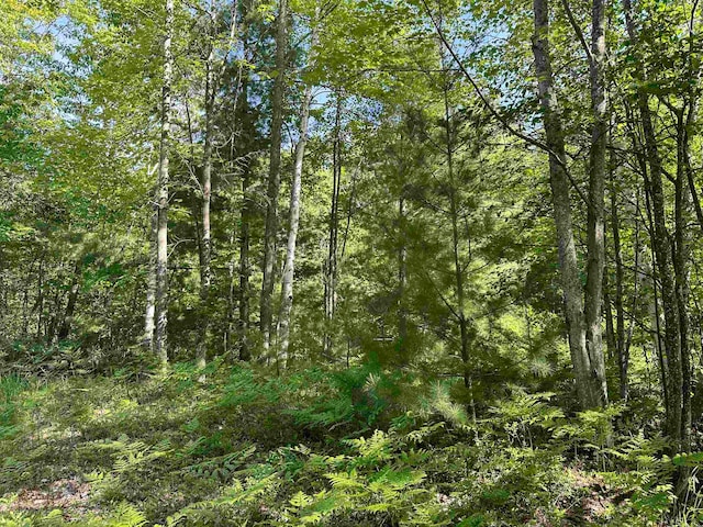 0 Fern Ave, Cadillac MI, 49601 land for sale