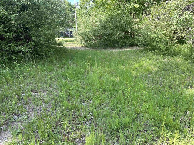 0 Fern Ave, Cadillac, MI 49601