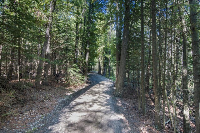 7545 Oyster Bay Dr Unit 4, Charlevoix, MI 49720 - view of road featuring a view of trees