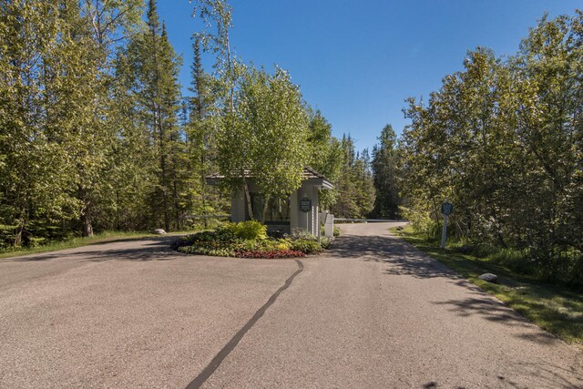 7545 Oyster Bay Dr Unit 4, Charlevoix, MI 49720 - view of street featuring a wooded view