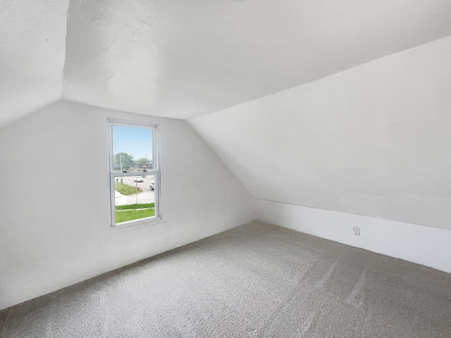 30430 Utica Rd, Roseville, MI 48066 - bonus room featuring vaulted ceiling and carpet flooring