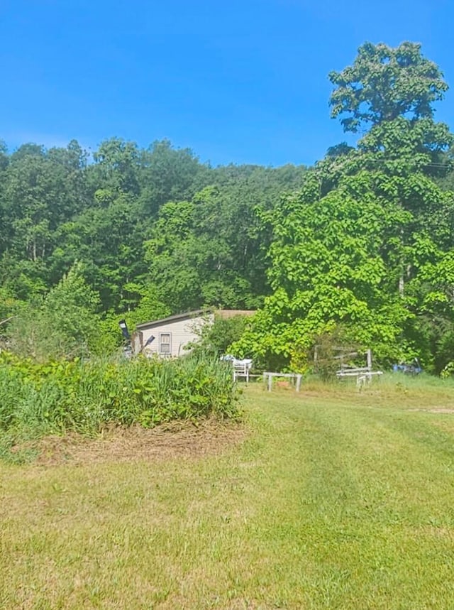 view of yard with a rural view