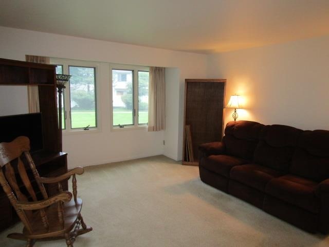 living room featuring light colored carpet