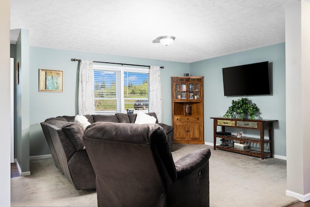 living room featuring a textured ceiling and light carpet