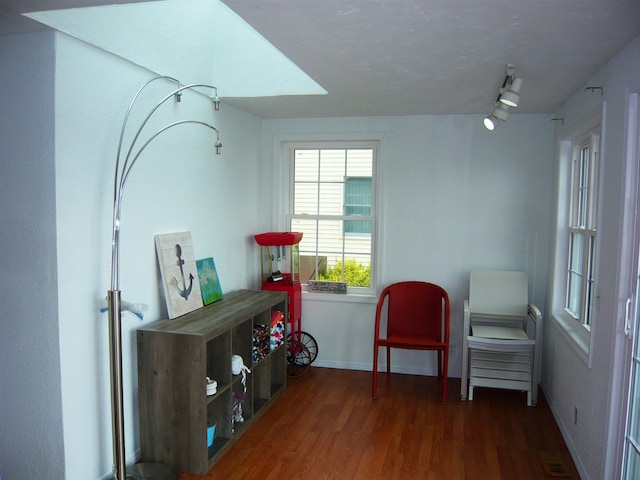 sitting room featuring dark wood-type flooring