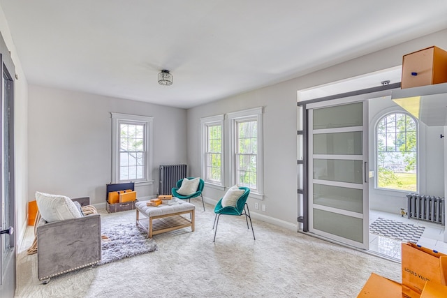 living area with carpet and radiator heating unit