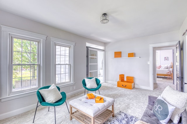 sitting room featuring light carpet