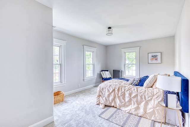 bedroom with carpet