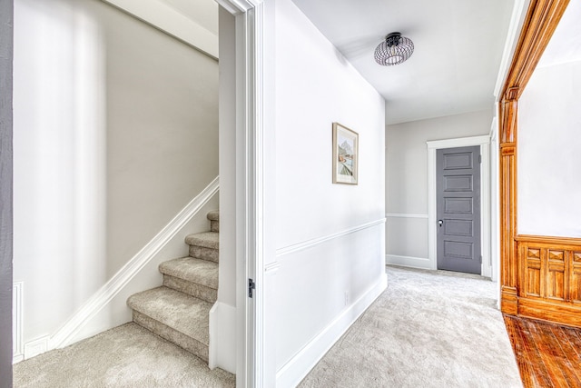 stairs with hardwood / wood-style flooring