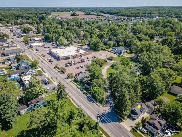 bird's eye view