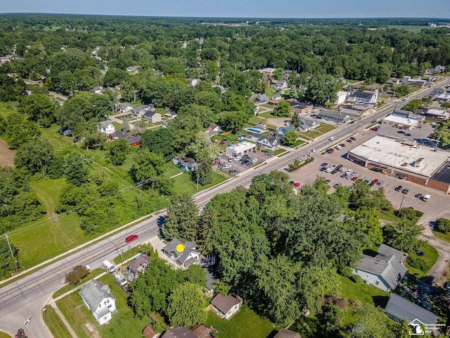 drone / aerial view