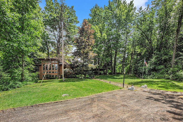 6888 Ann Arbor Rd, Jackson, MI 49201 - view of grassy yard
