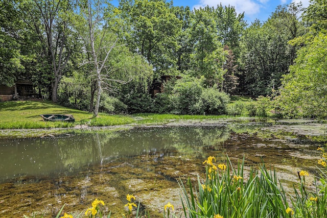 6888 Ann Arbor Rd, Jackson, MI 49201 - water view