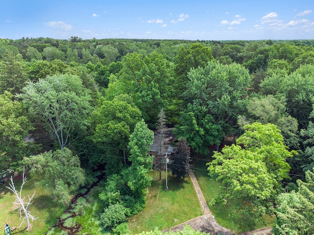 6888 Ann Arbor Rd, Jackson, MI 49201 - aerial view of a heavily wooded area