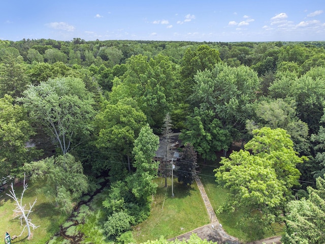 6888 Ann Arbor Rd, Jackson, MI 49201 - photo 38