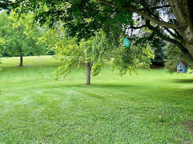 15300 Rome Rd, Manitou Beach, MI 49253 - photo 22