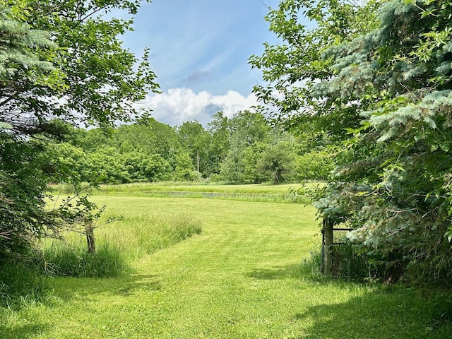 15300 Rome Rd, Manitou Beach, MI 49253 - photo 24