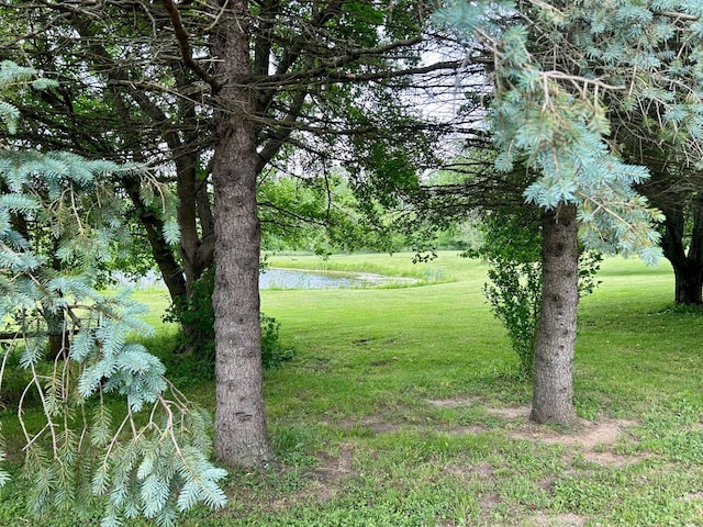 15300 Rome Rd, Manitou Beach, MI 49253 - photo 26