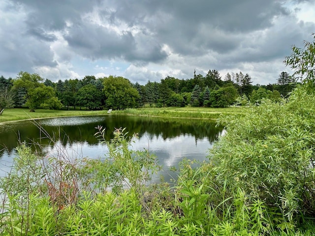 view of water feature