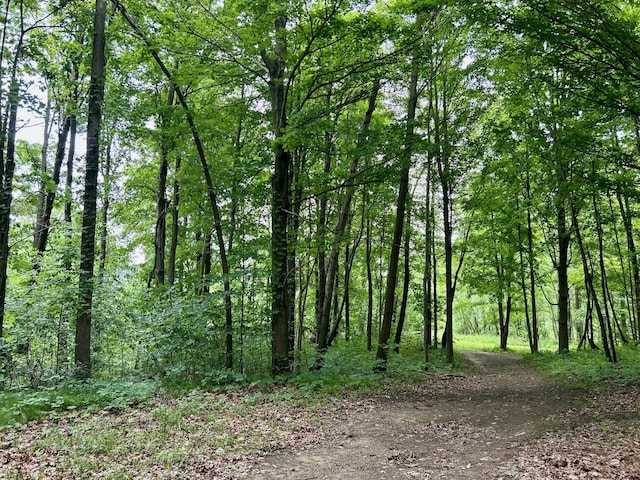 15300 Rome Rd, Manitou Beach, MI 49253 - photo 41