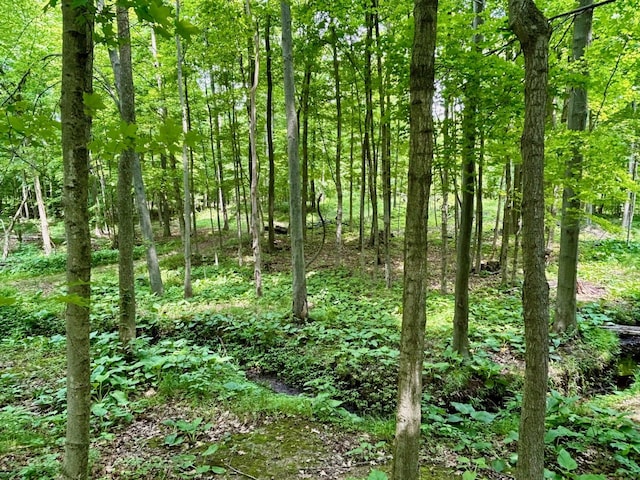 15300 Rome Rd, Manitou Beach, MI 49253 - photo 44