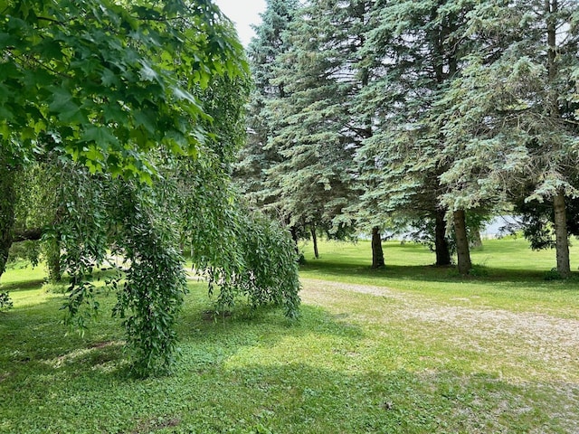 15300 Rome Rd, Manitou Beach, MI 49253 - photo 45