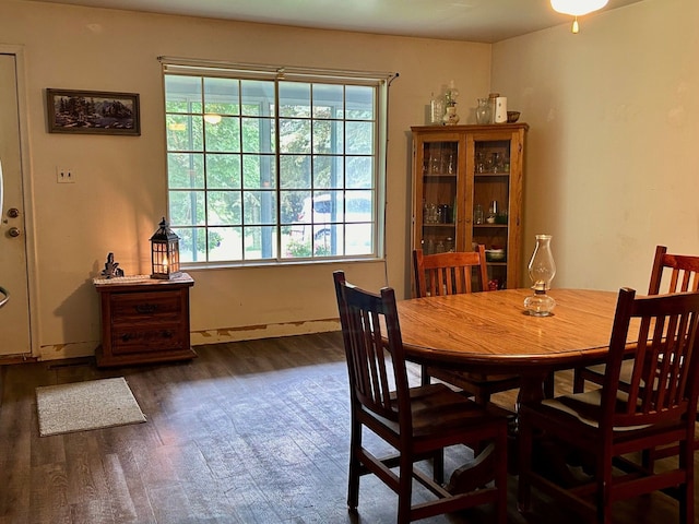 dining room featuring dark wood-type flooring