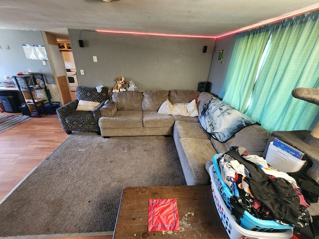 living room with hardwood / wood-style floors