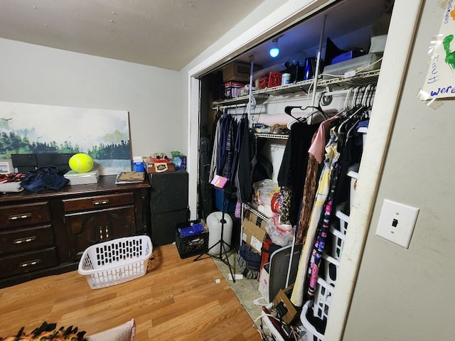 view of closet